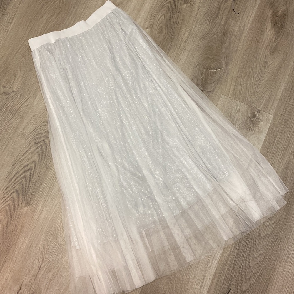 Silver Pleated Tulle Skirt